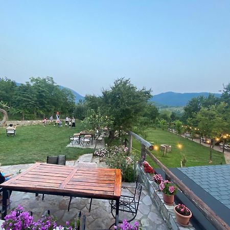 Vila Disha Tiran Dış mekan fotoğraf