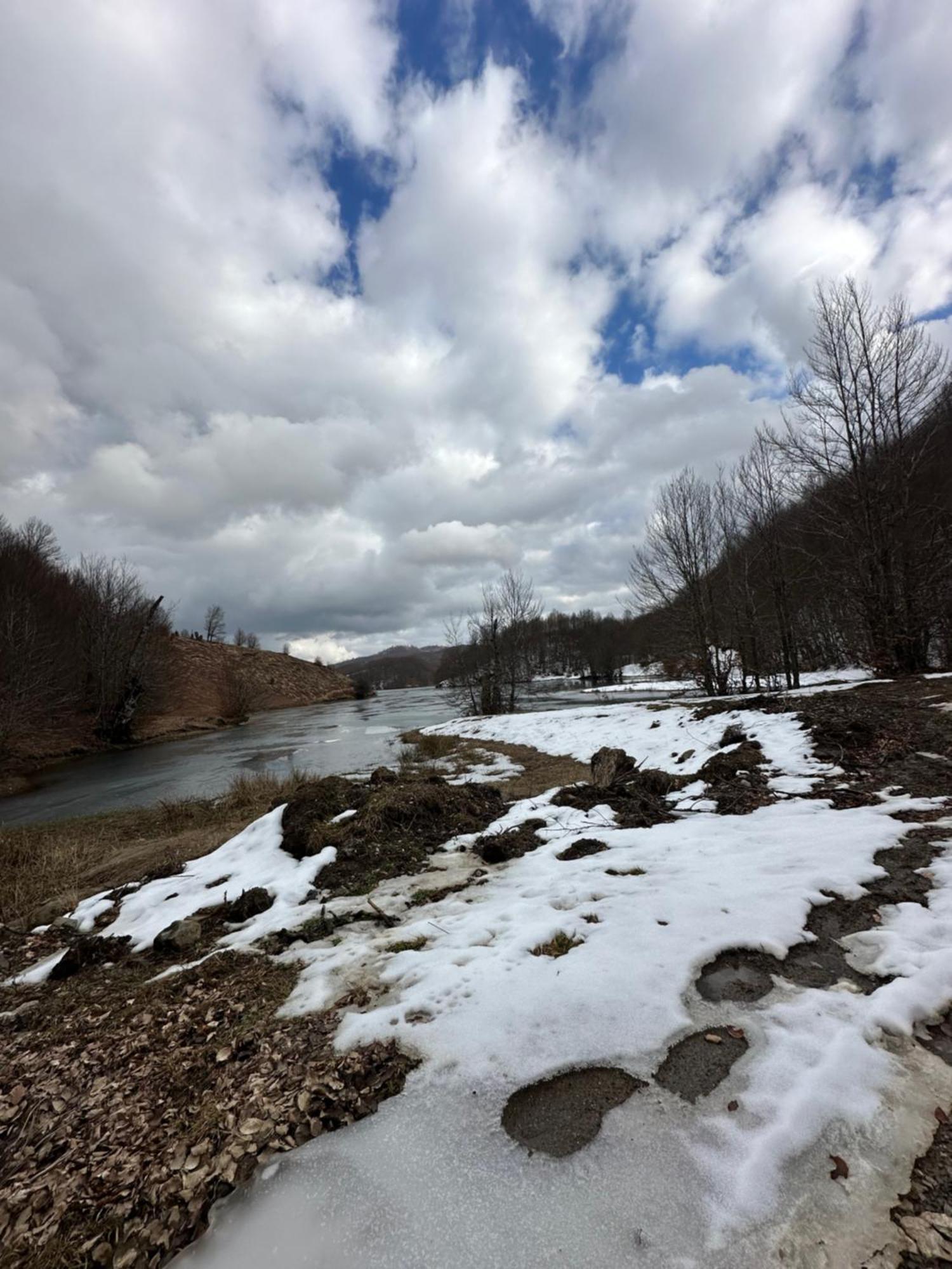 Vila Disha Tiran Dış mekan fotoğraf