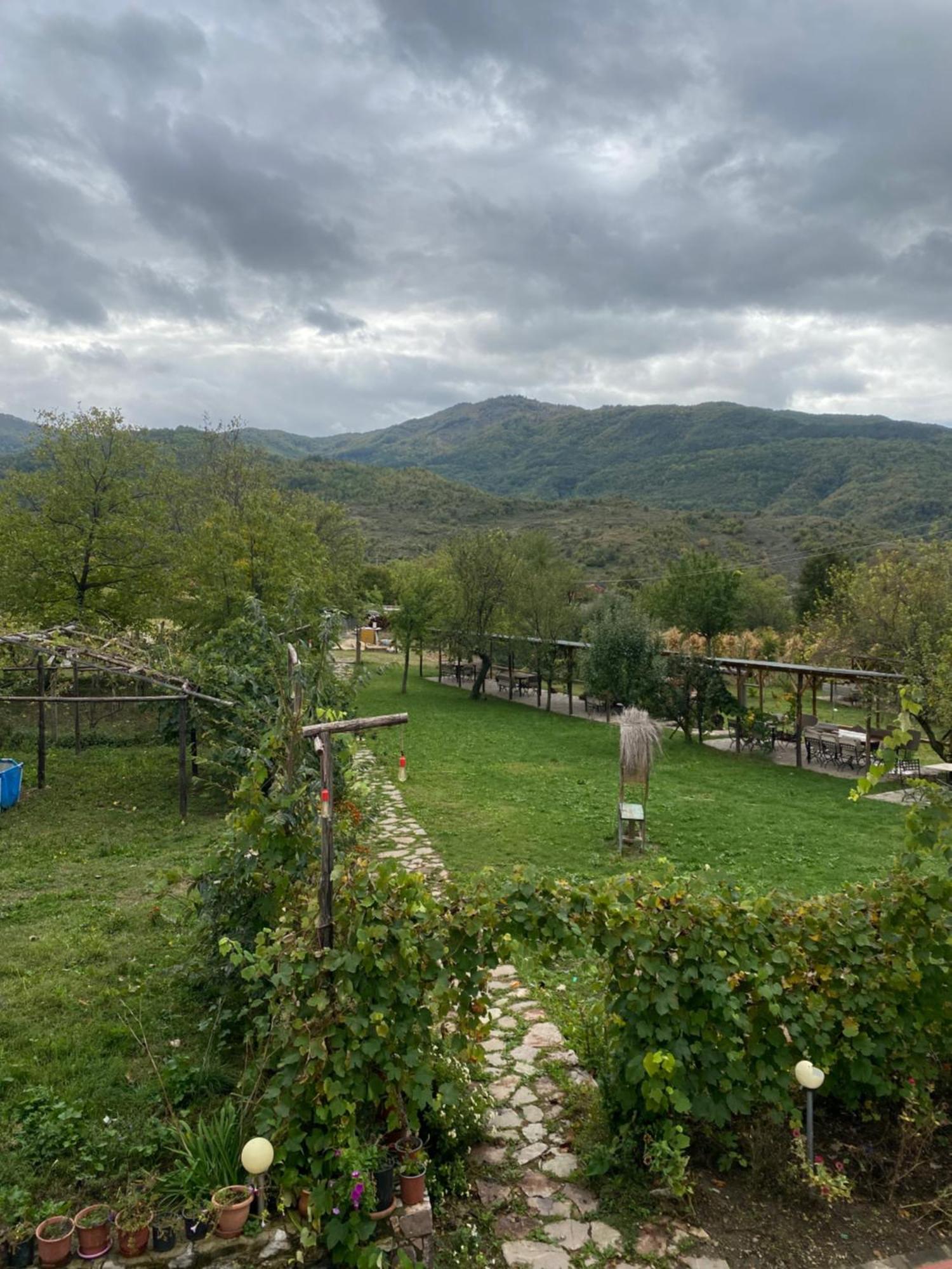 Vila Disha Tiran Dış mekan fotoğraf