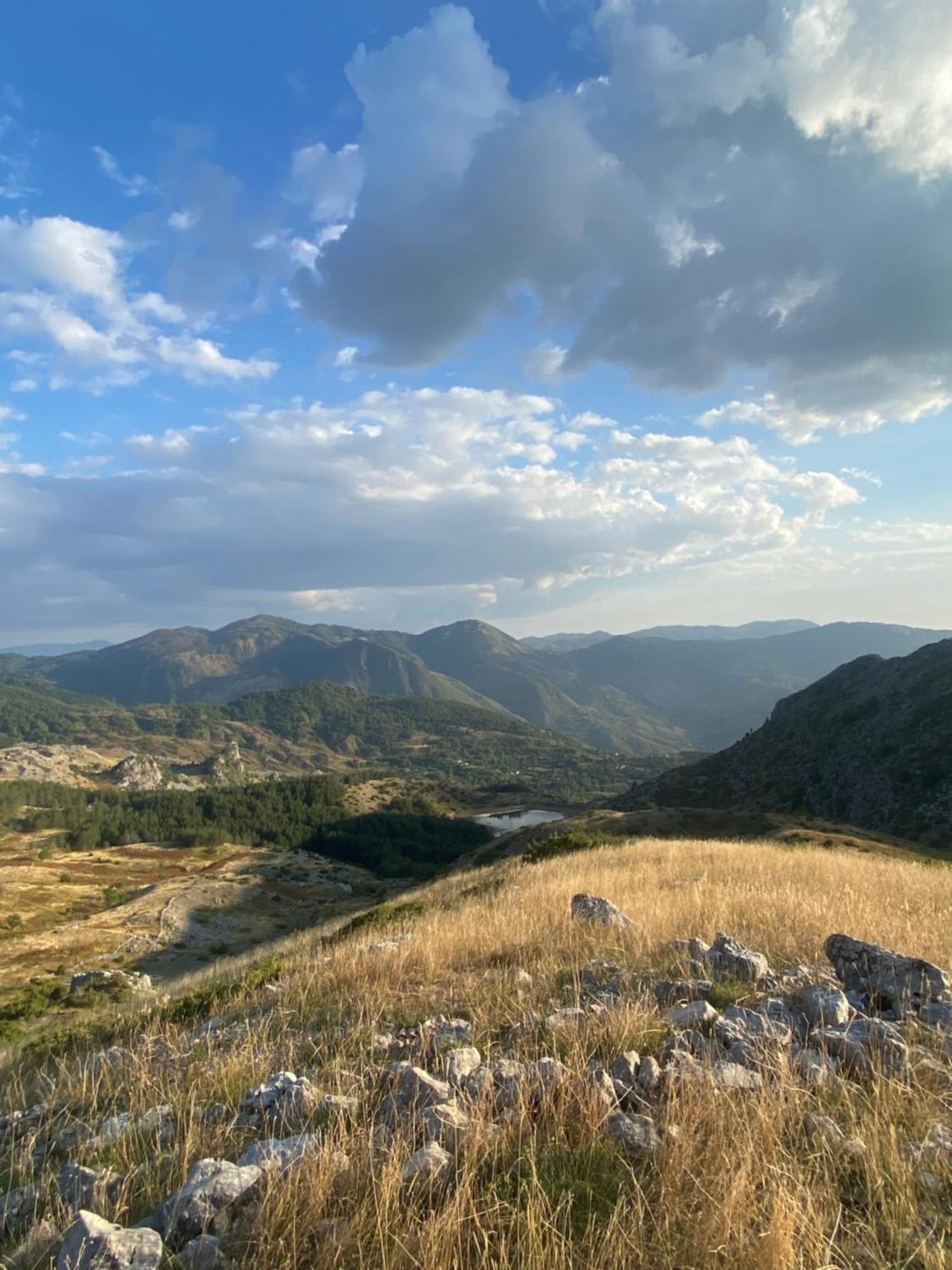 Vila Disha Tiran Dış mekan fotoğraf