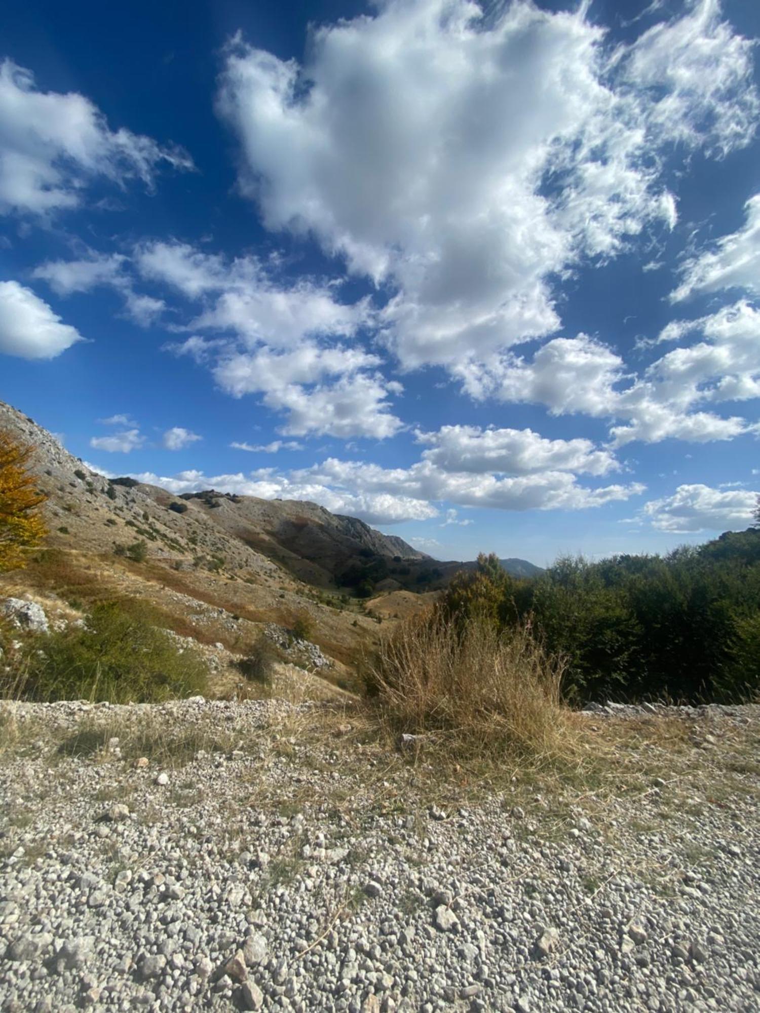 Vila Disha Tiran Dış mekan fotoğraf