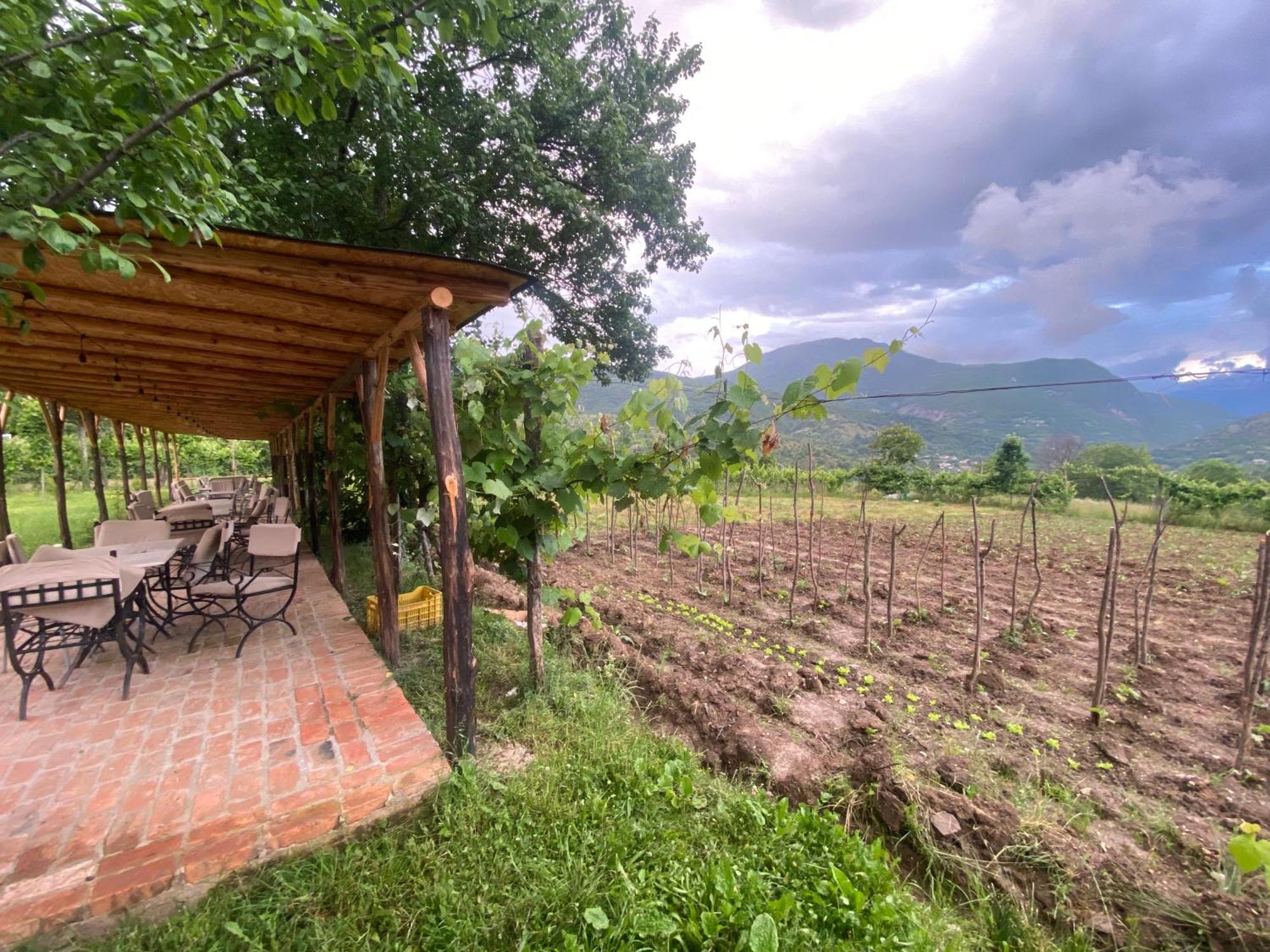 Vila Disha Tiran Dış mekan fotoğraf