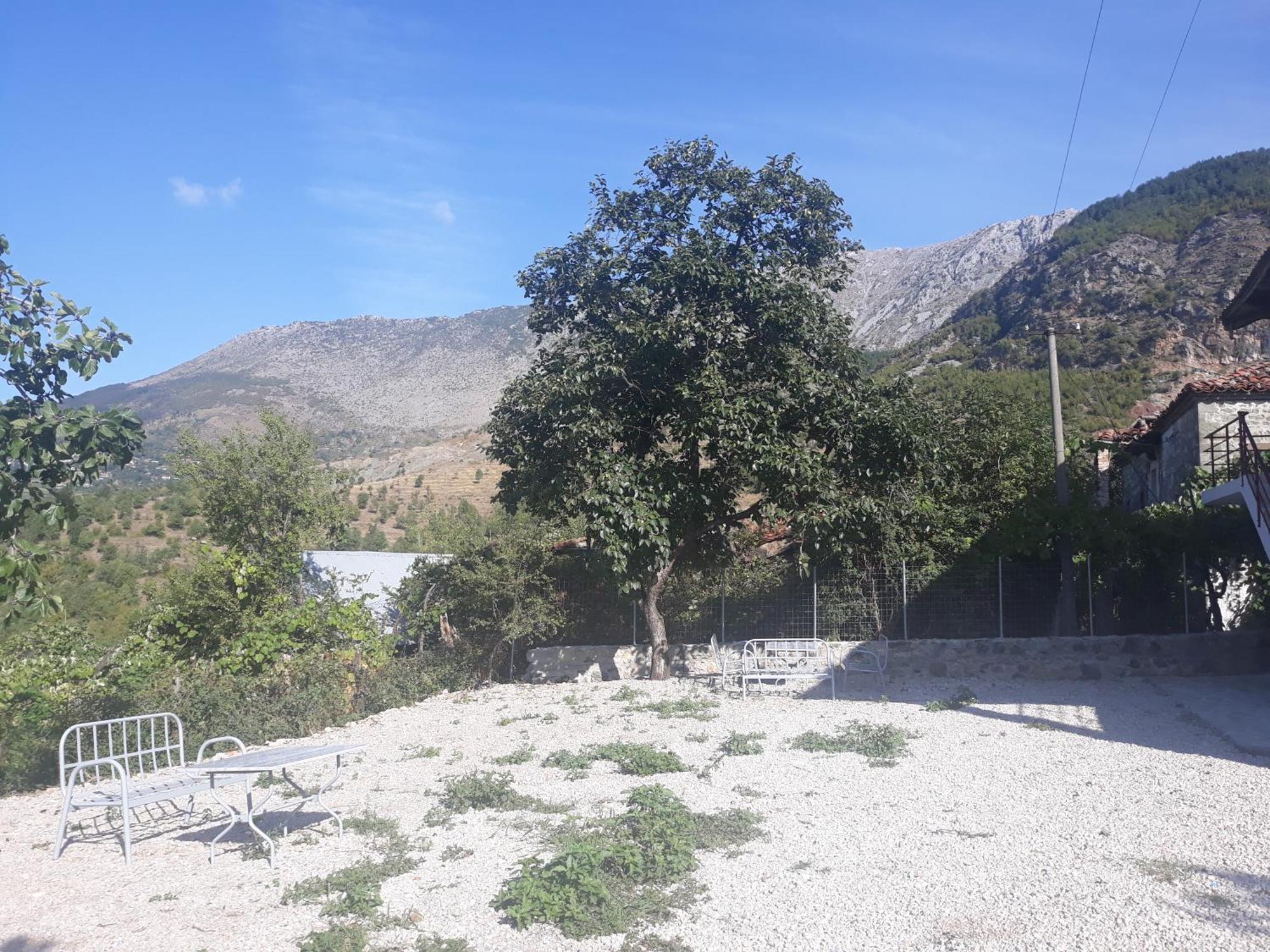 Vila Disha Tiran Oda fotoğraf