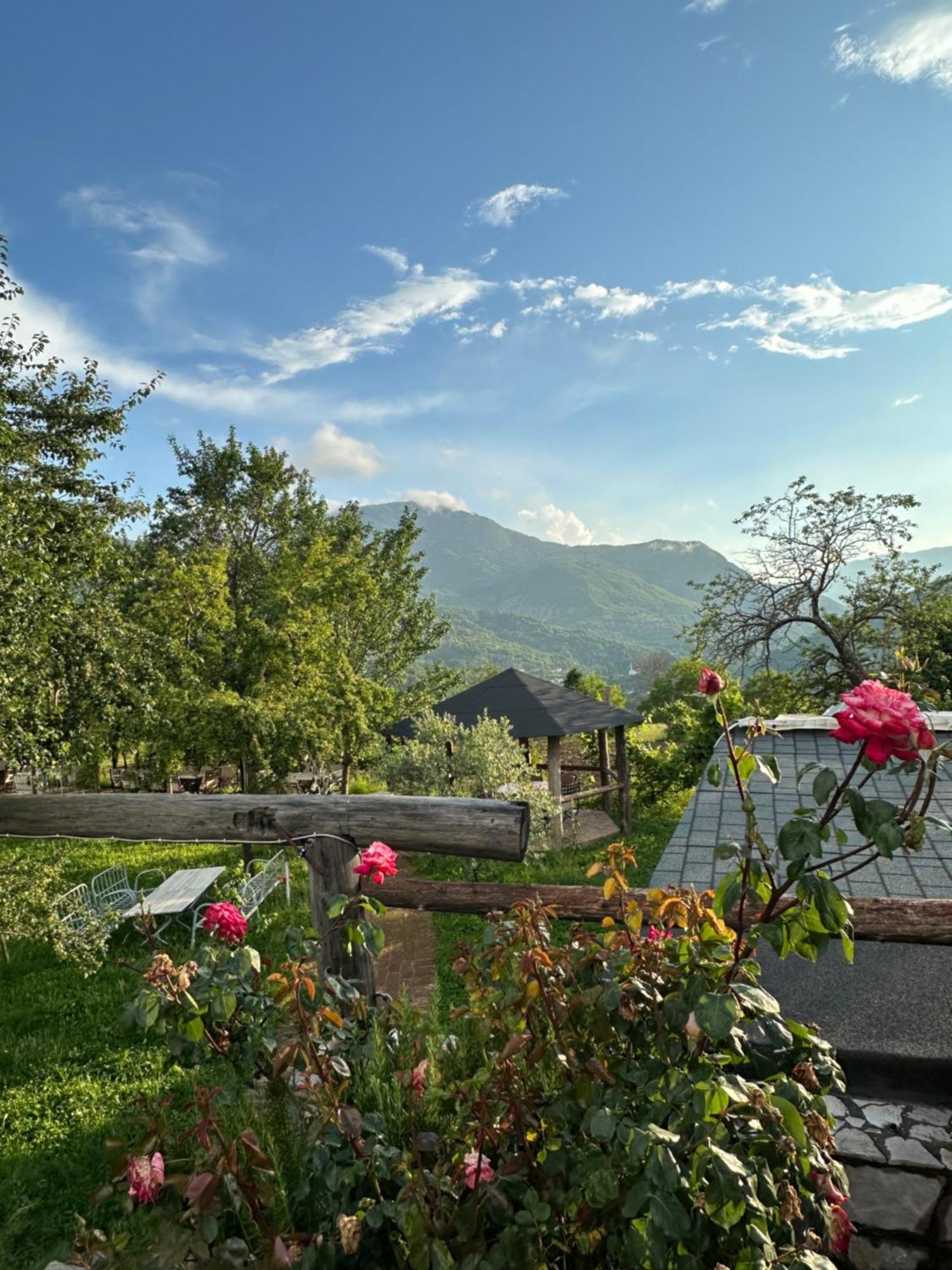 Vila Disha Tiran Dış mekan fotoğraf