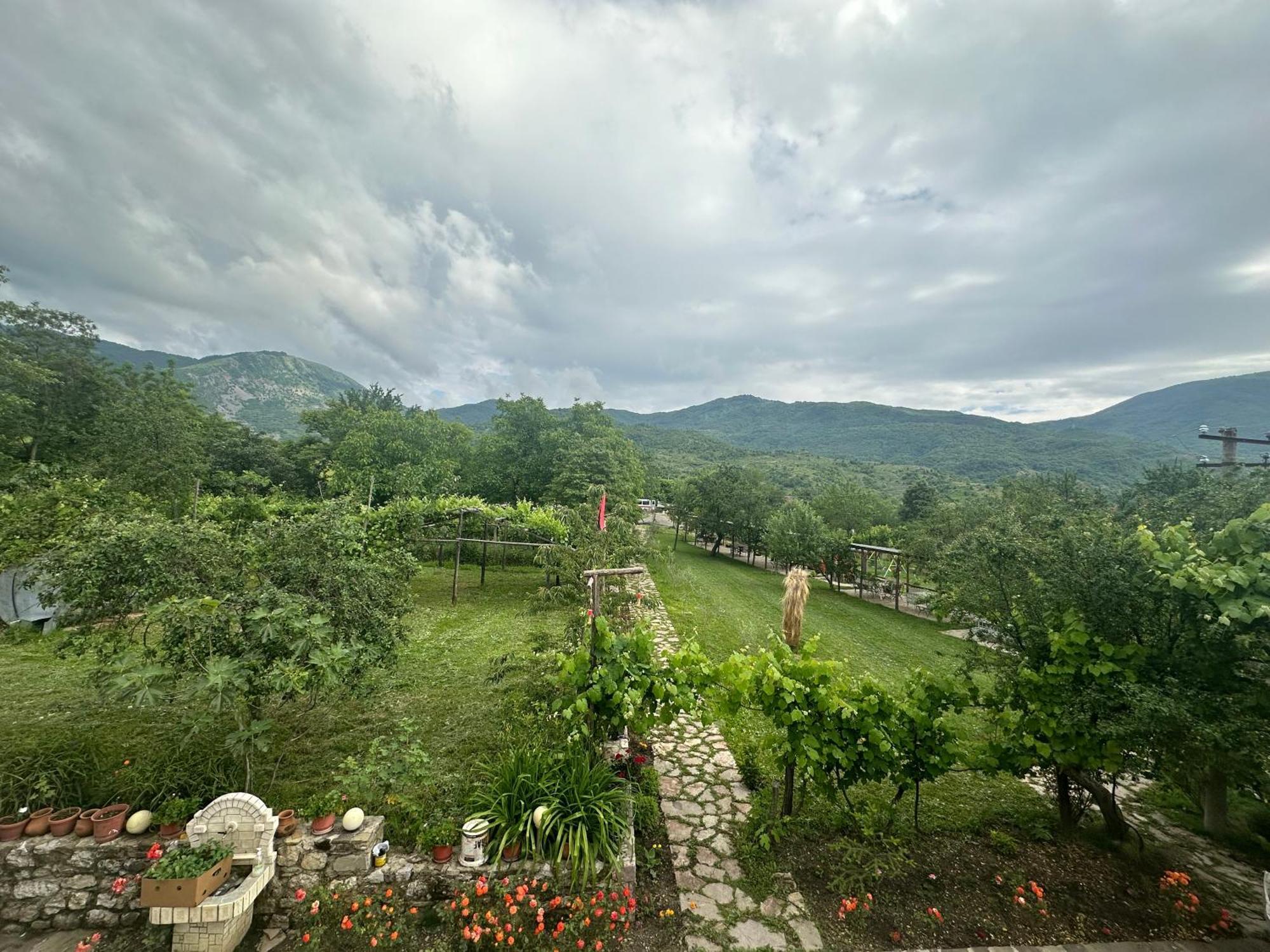 Vila Disha Tiran Dış mekan fotoğraf
