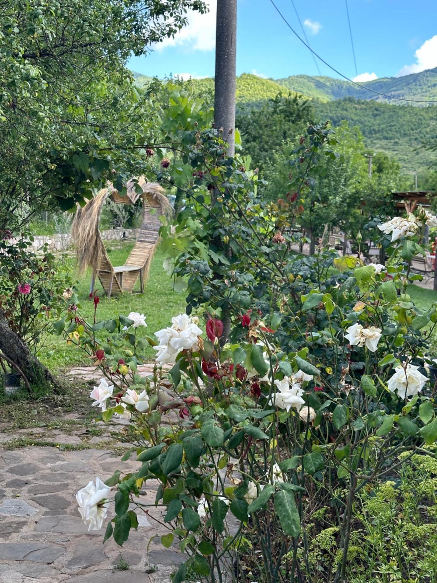 Vila Disha Tiran Dış mekan fotoğraf