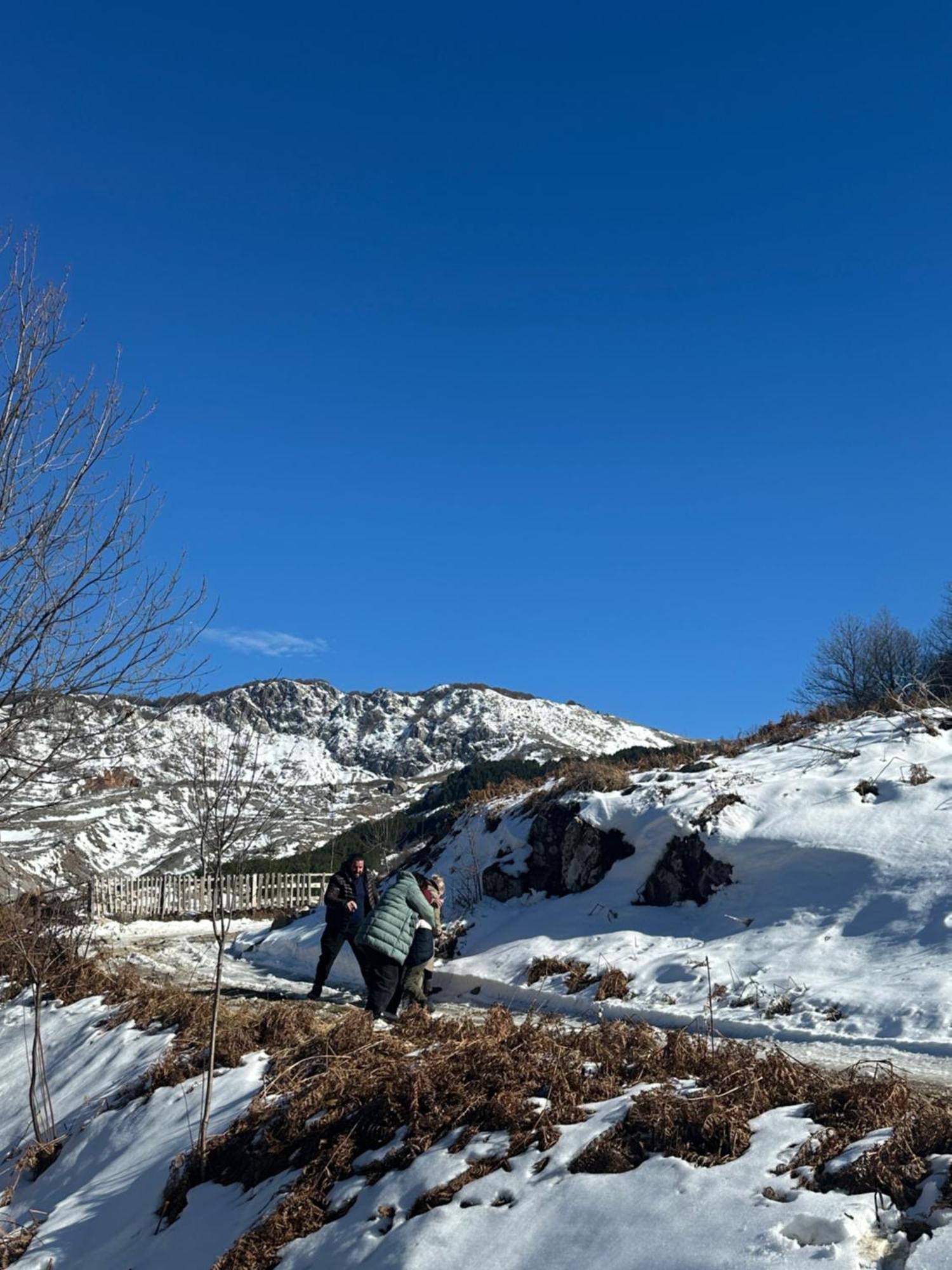Vila Disha Tiran Dış mekan fotoğraf