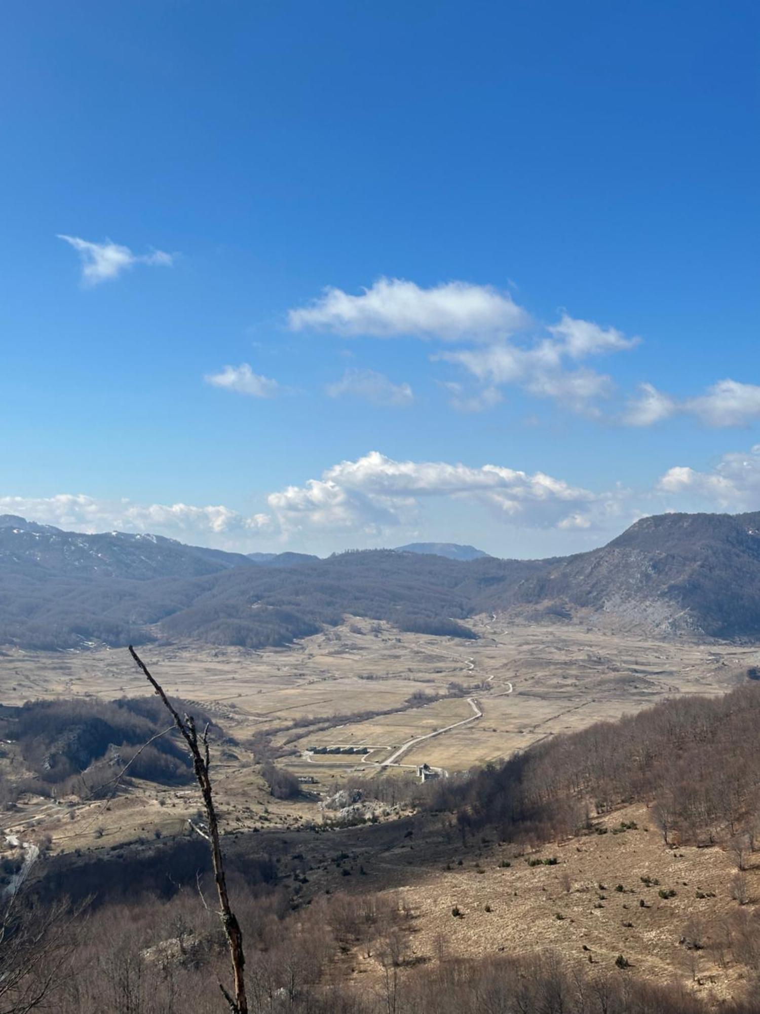 Vila Disha Tiran Dış mekan fotoğraf