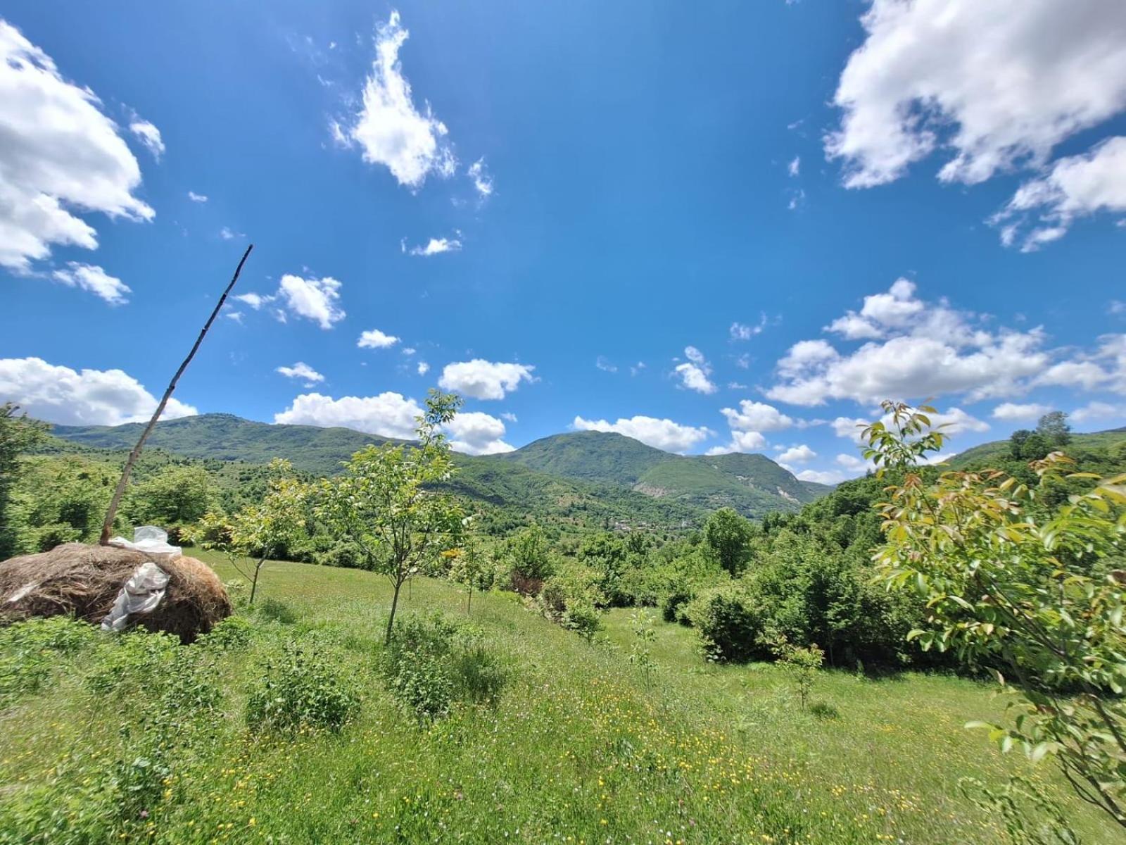 Vila Disha Tiran Dış mekan fotoğraf