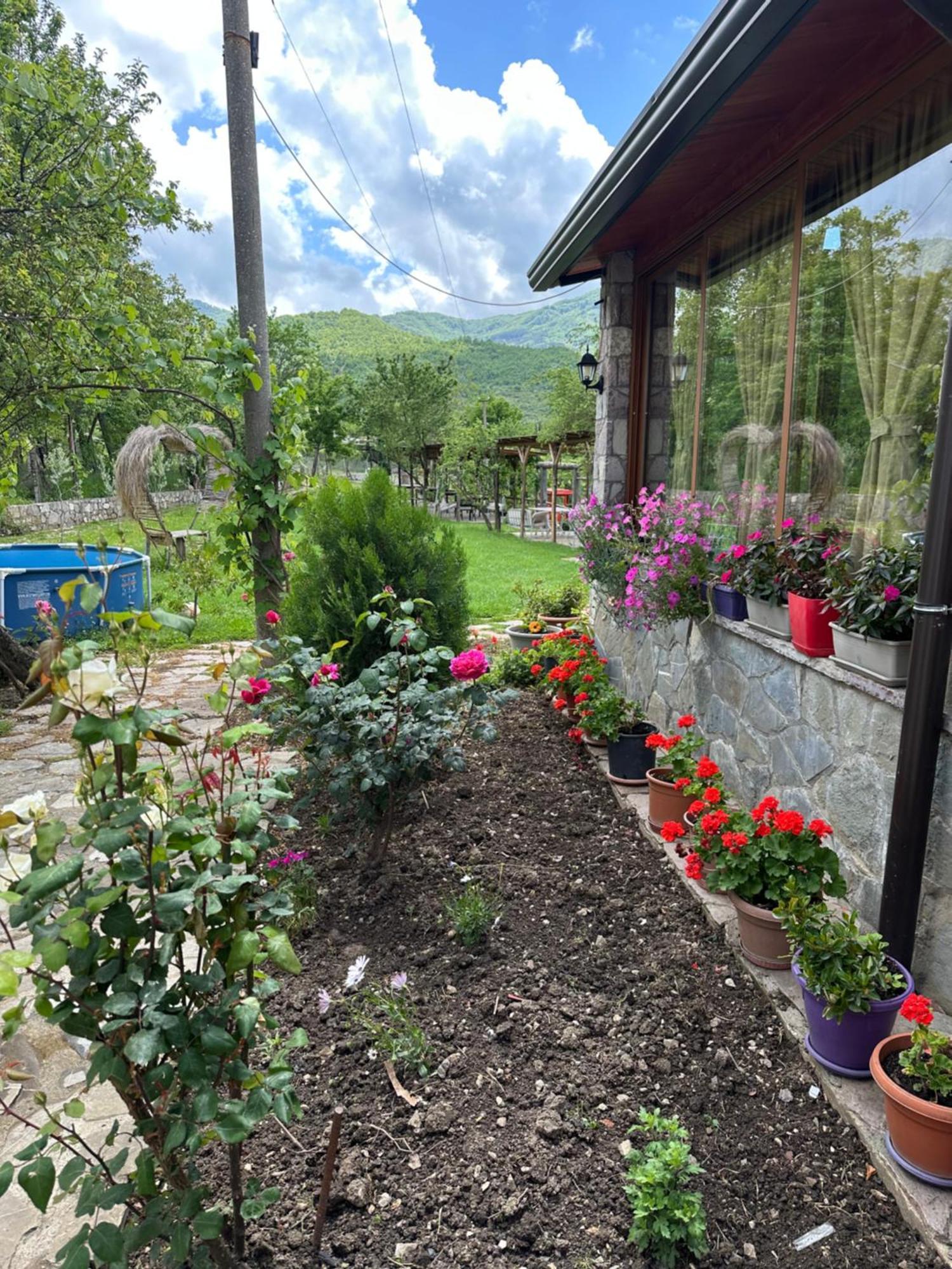 Vila Disha Tiran Dış mekan fotoğraf
